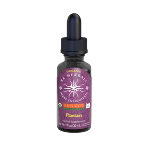 Ra Herbals Certified Organic Plantain Tincture — Other