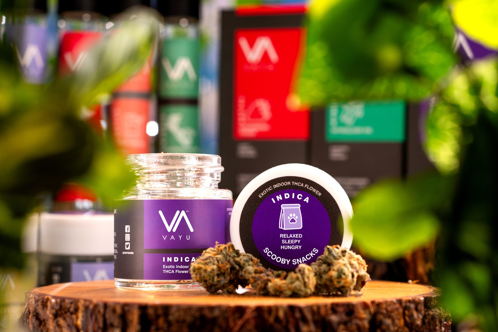 Scooby Snacks – Indica – Exotic Boutique Indoor - THCA Flower