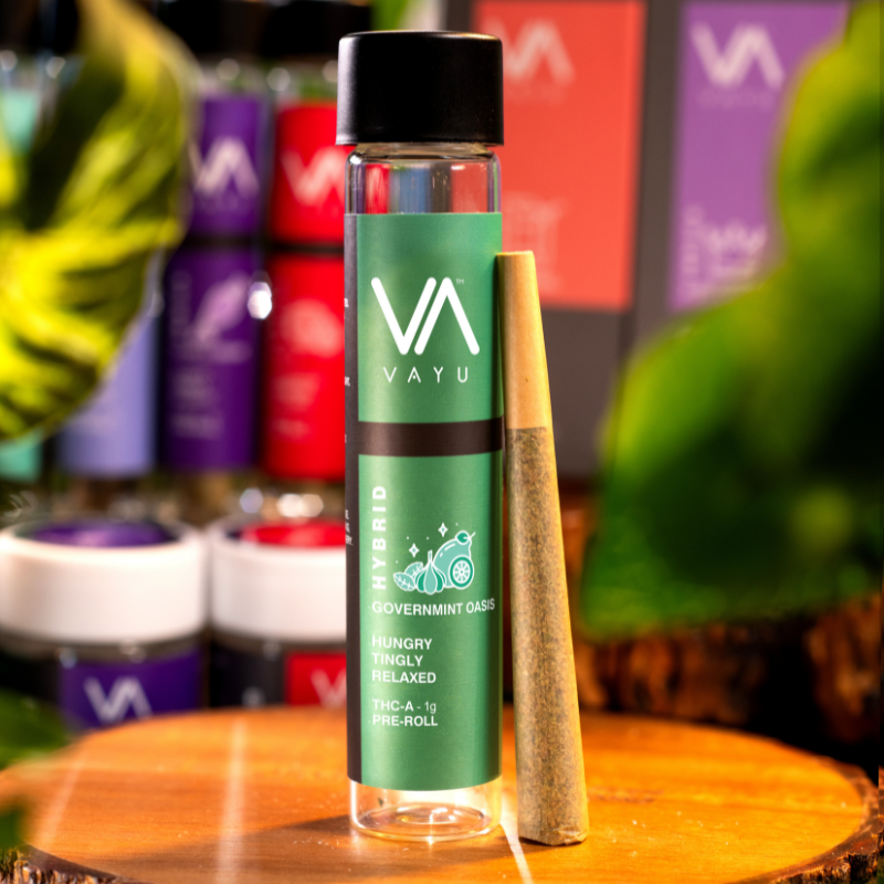 Governmint Oasis  - Hybrid - THCA Pre-Rolls - 1g