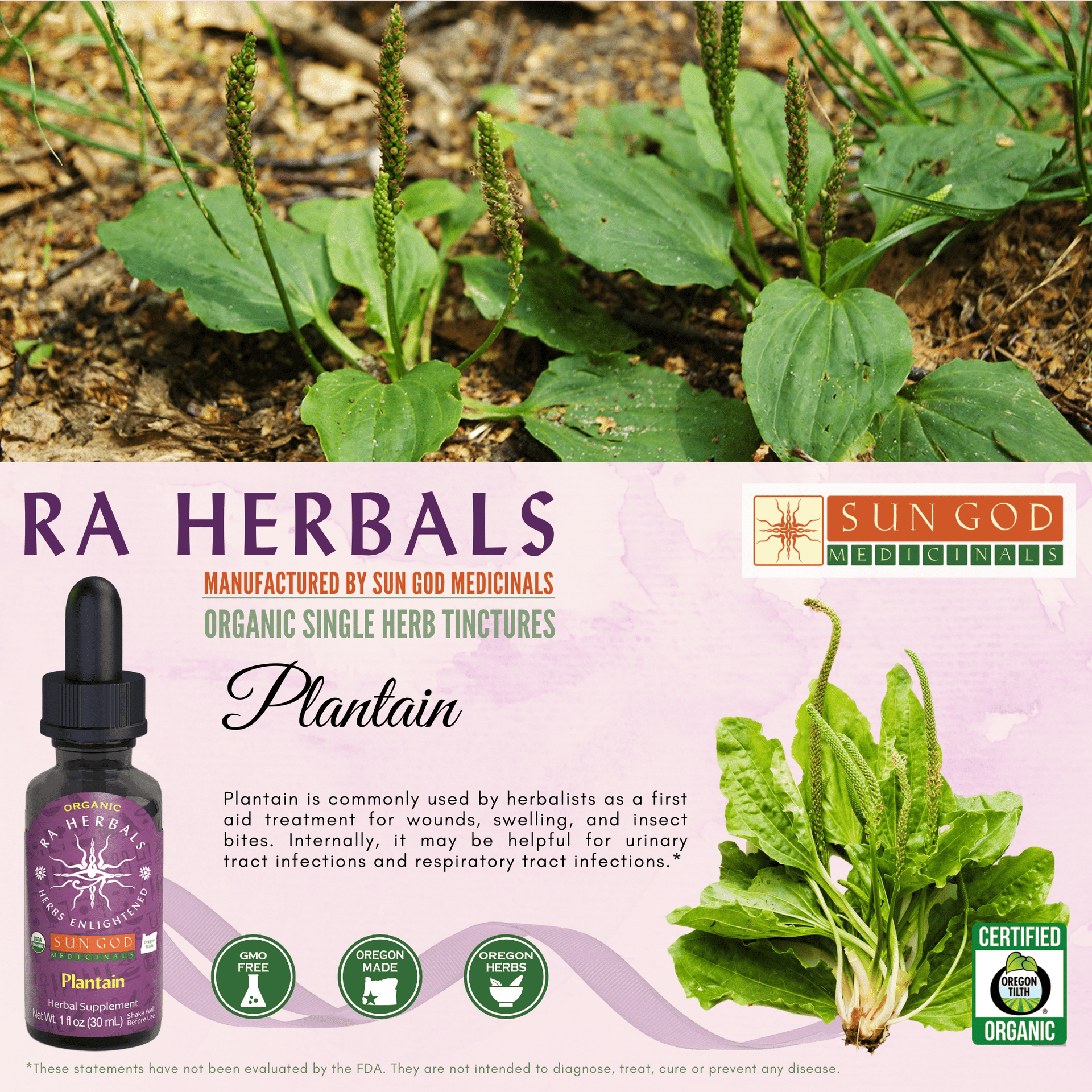 Ra Herbals Certified Organic Plantain Tincture — Other