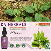 Ra Herbals Certified Organic Plantain Tincture