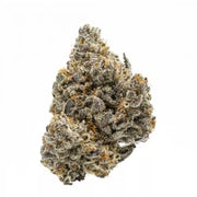 Rainbow Runtz - THCA: 26.52% - Hybrid - Premium Hemp Flower