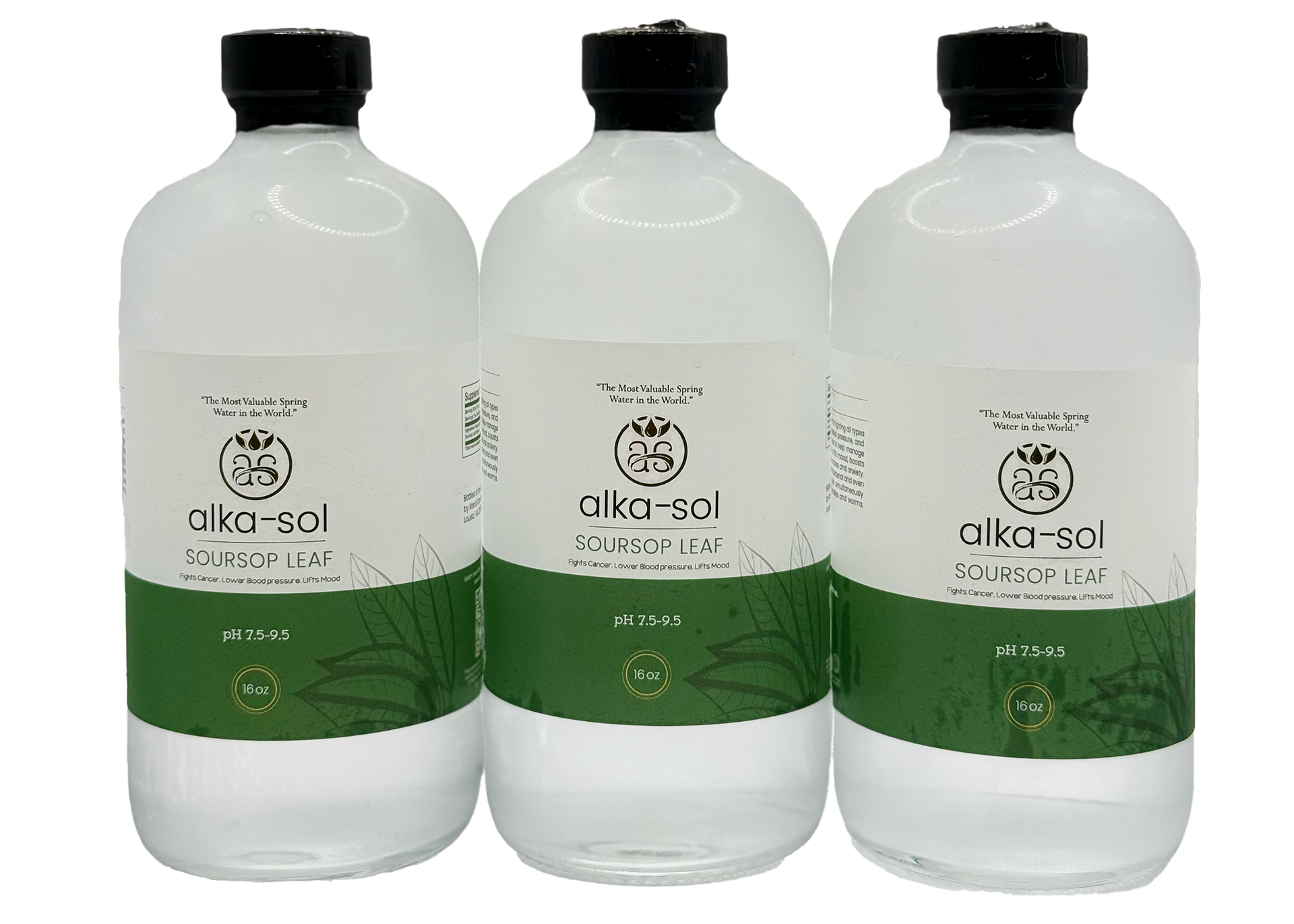 SOURSOP LEAF TONIC - (16 oz - 3 pk) — Other