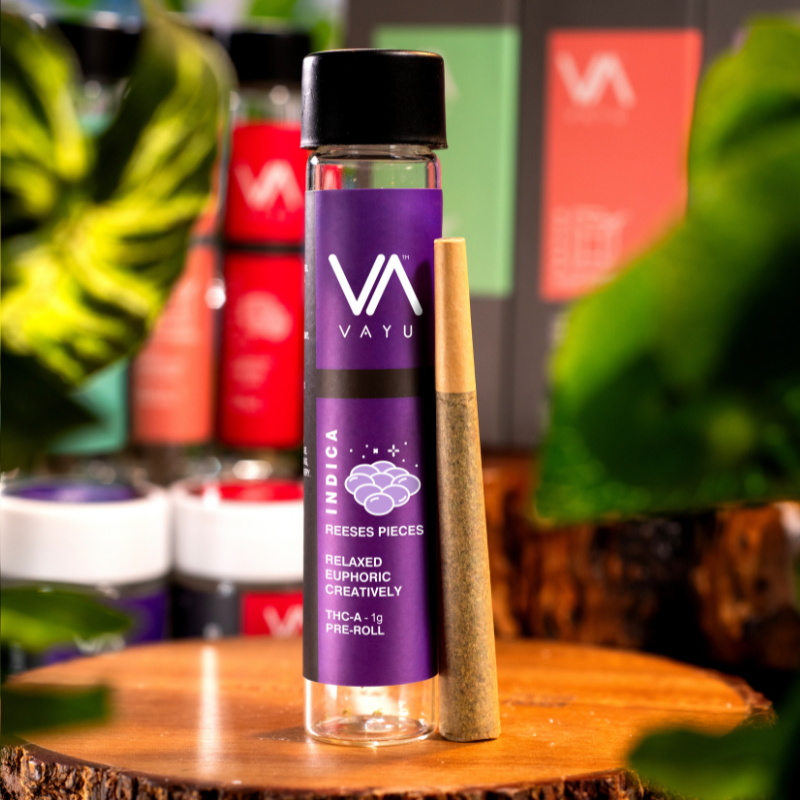 Reeses Pieces - Indica - THCA Pre-Rolls - 1g