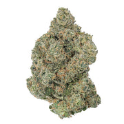 Runtz - THCA: 21.47% - Hybrid - Premium Hemp Flower